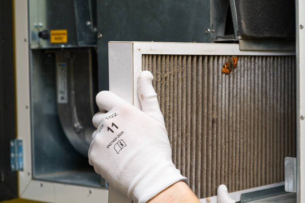 Best HVAC System Cleaning  in Grizzly Flats, CA