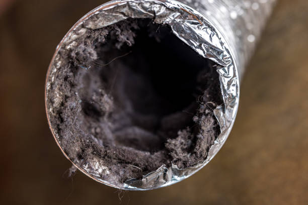 Reliable Grizzly Flats, CA Airduct Cleaning Solutions